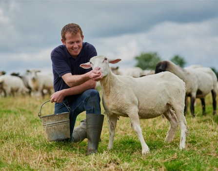 agriculture services