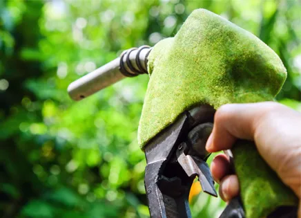 green fuel