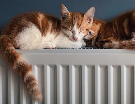 keeping your home warm