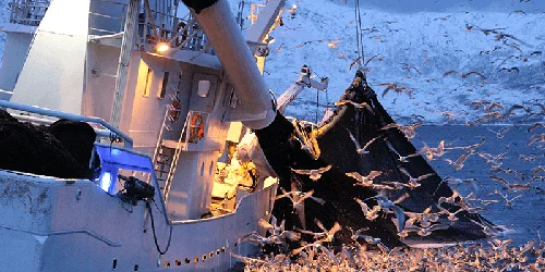 lubricants for marine and offshore